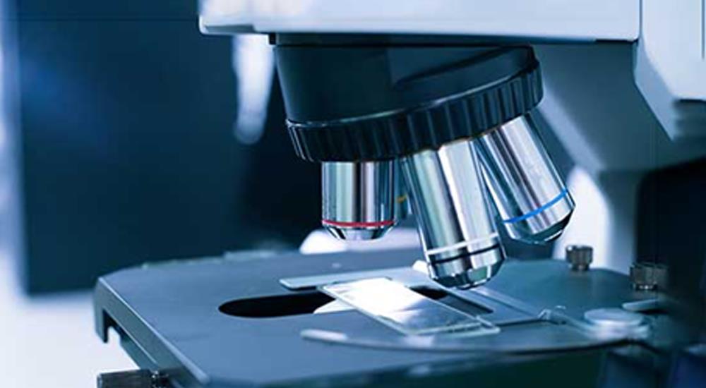 Clinical Biochemistry, Hematology & Immunoassay